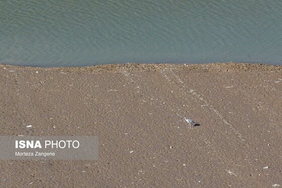 گزارش تصویری | روزهای تشنه سد لتیان