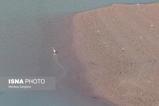 گزارش تصویری | روزهای تشنه سد لتیان