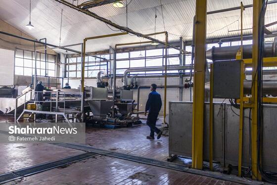 گزارش تصویری | کارخانه تولید رب گوجه فرنگی