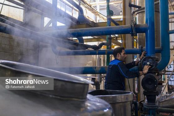 گزارش تصویری | کارخانه تولید رب گوجه فرنگی