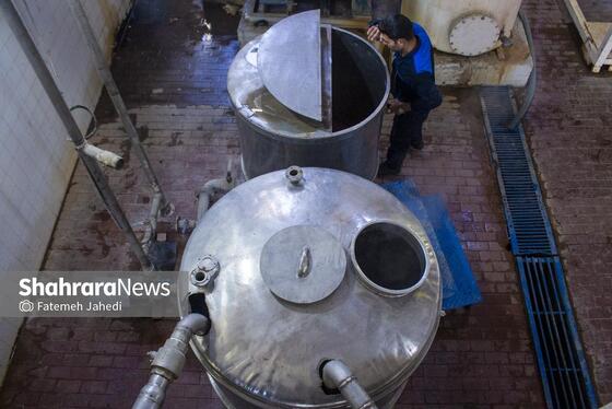 گزارش تصویری | کارخانه تولید رب گوجه فرنگی