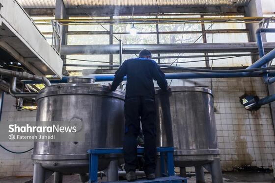 گزارش تصویری | کارخانه تولید رب گوجه فرنگی