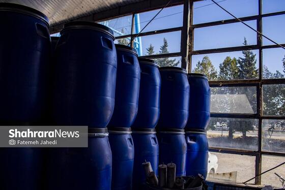 گزارش تصویری | کارخانه تولید رب گوجه فرنگی