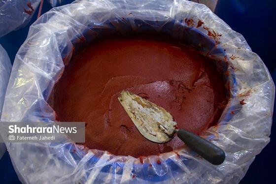 گزارش تصویری | کارخانه تولید رب گوجه فرنگی