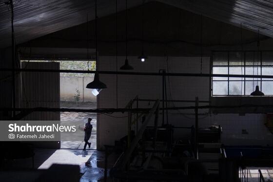 گزارش تصویری | کارخانه تولید رب گوجه فرنگی