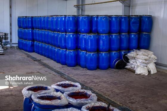 گزارش تصویری | کارخانه تولید رب گوجه فرنگی