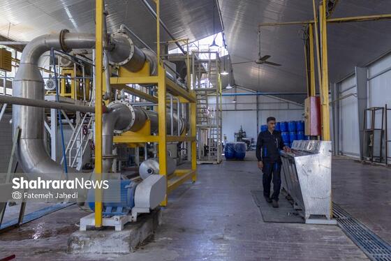 گزارش تصویری | کارخانه تولید رب گوجه فرنگی