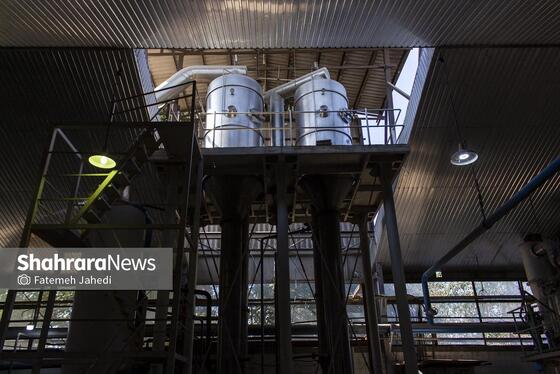 گزارش تصویری | کارخانه تولید رب گوجه فرنگی