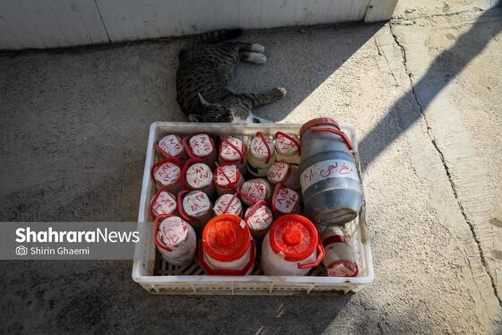 گزارش تصویری | فاز توسعه تصفیه‌خانه شماره دو غرب مشهد (پرکندآباد) (۲۶ آبان ۱۴۰۴)