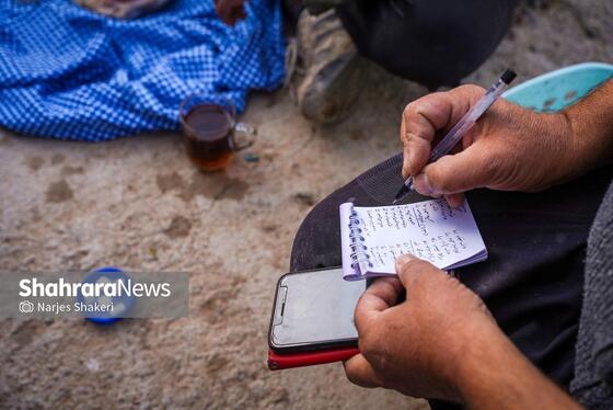 گزارش تصویری | فصل برداشت انار از باغ‌های شهرستان کاشمر