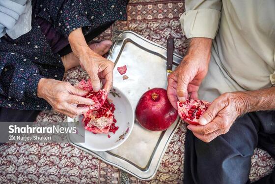 گزارش تصویری | فصل برداشت انار از باغ‌های شهرستان کاشمر