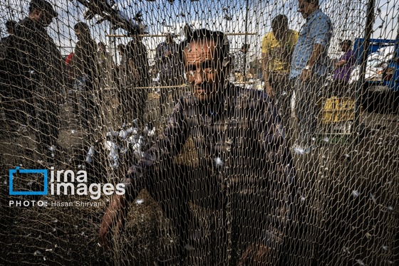 گزارش تصویری | جمعه‌های قفسی