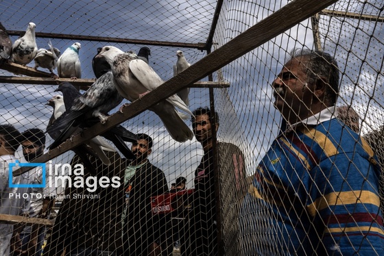 گزارش تصویری | جمعه‌های قفسی