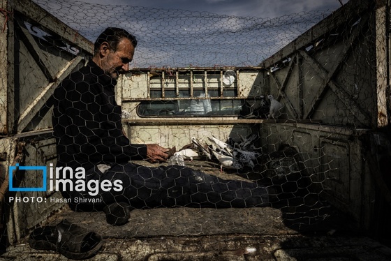 گزارش تصویری | جمعه‌های قفسی