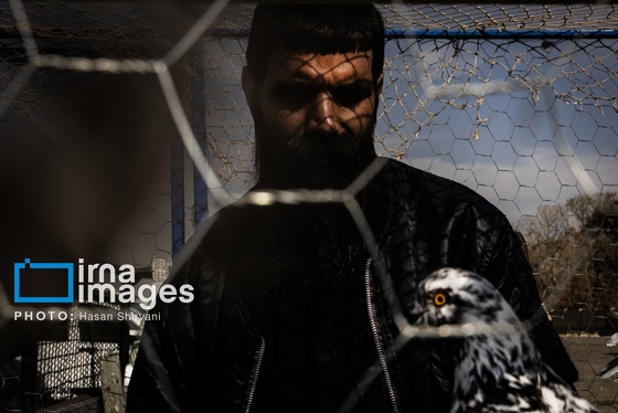 گزارش تصویری | جمعه‌های قفسی