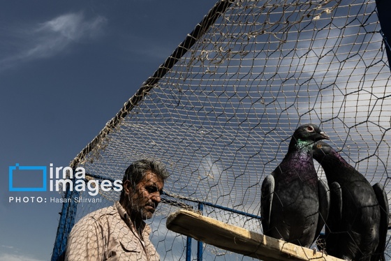 گزارش تصویری | جمعه‌های قفسی