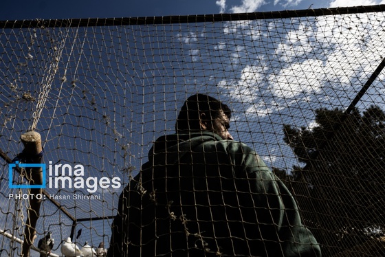 گزارش تصویری | جمعه‌های قفسی