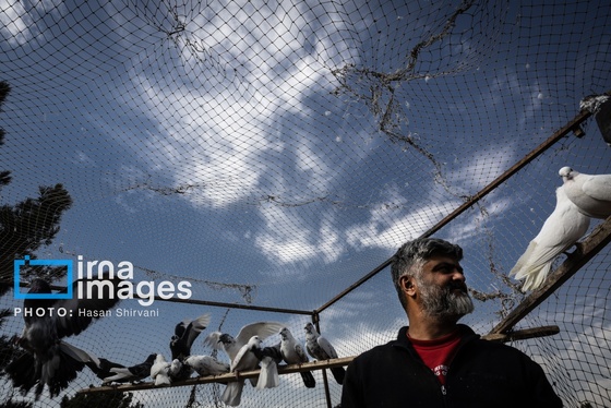 گزارش تصویری | جمعه‌های قفسی