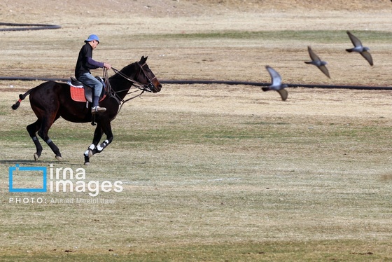 گزارش تصویری | لیگ ملی چوگان زنان «جام نرگس»