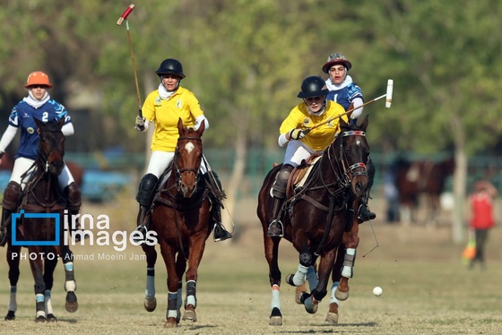 گزارش تصویری | لیگ ملی چوگان زنان «جام نرگس»