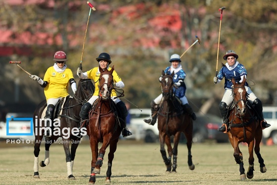 گزارش تصویری | لیگ ملی چوگان زنان «جام نرگس»