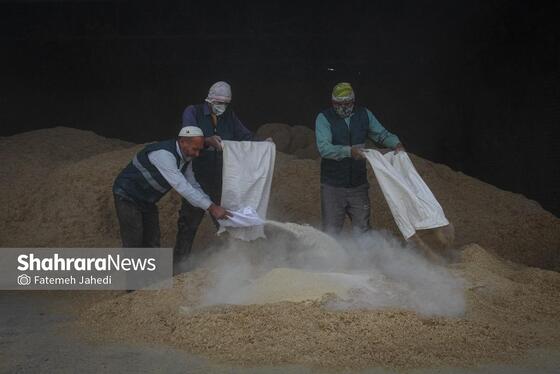 گزارش تصویری | مزرعه دامپروری چپرقویمه