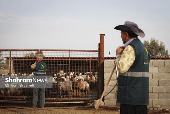 گزارش تصویری | مزرعه دامپروری چپرقویمه