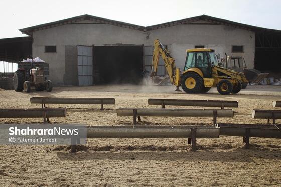 گزارش تصویری | مزرعه دامپروری چپرقویمه