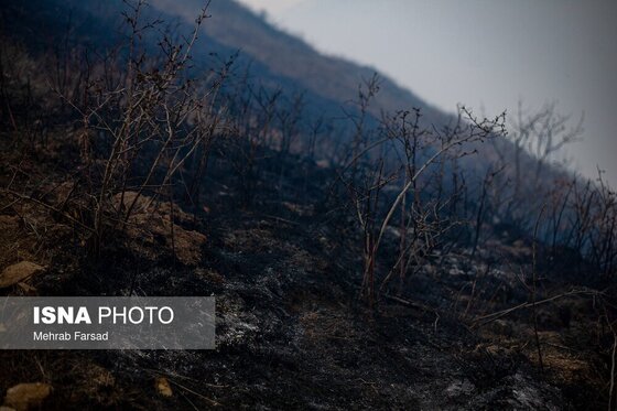 گزارش تصویری | عملیات مهار آتش‌سوزی مناطق کوهستانی روستاهای دلیر و الیت
