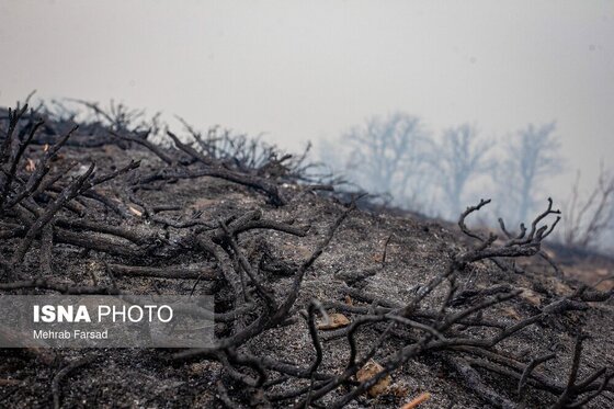 گزارش تصویری | عملیات مهار آتش‌سوزی مناطق کوهستانی روستاهای دلیر و الیت