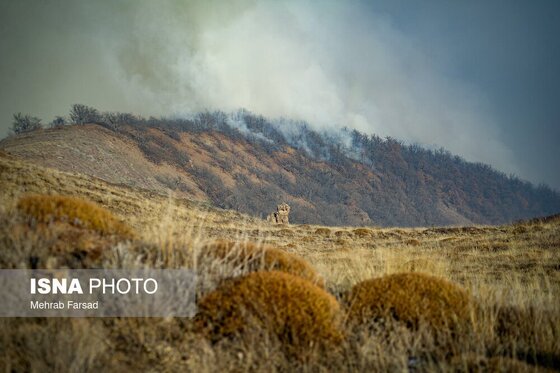 گزارش تصویری | عملیات مهار آتش‌سوزی مناطق کوهستانی روستاهای دلیر و الیت