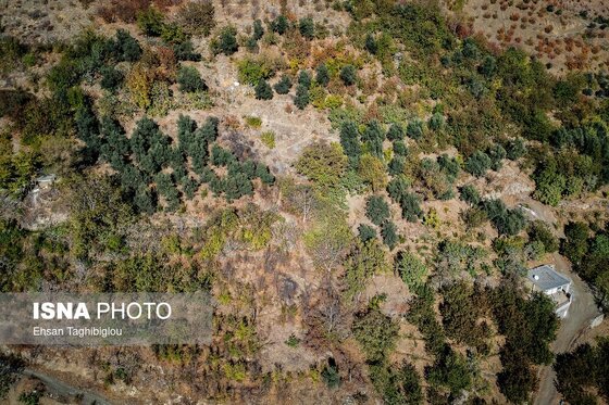 ایران زیباست | پاییزِ هزاررنگ در روستای شیت - طارم