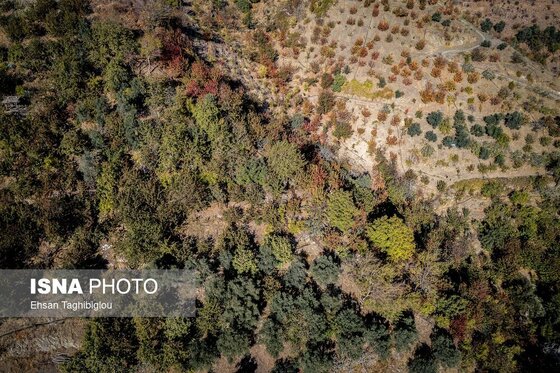ایران زیباست | پاییزِ هزاررنگ در روستای شیت - طارم