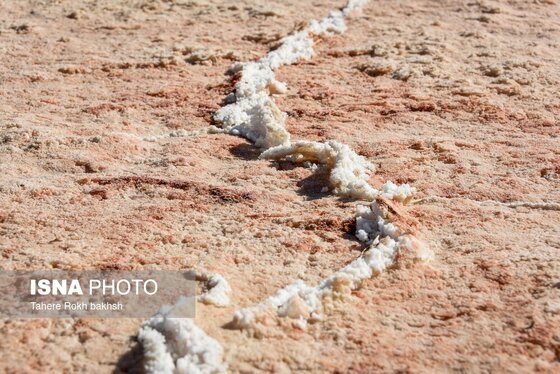 گزارش تصویری | خشک شدن دریاچه مهارلو - شیراز