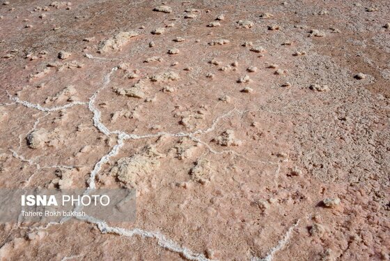گزارش تصویری | خشک شدن دریاچه مهارلو - شیراز