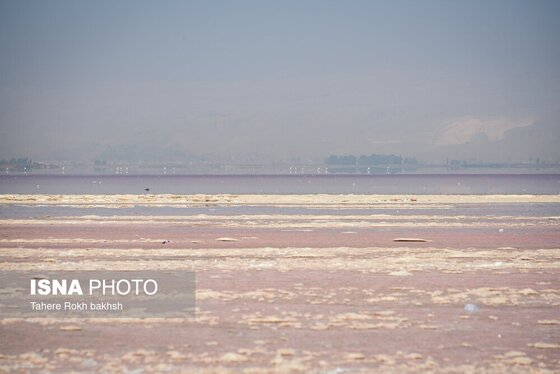 گزارش تصویری | خشک شدن دریاچه مهارلو - شیراز