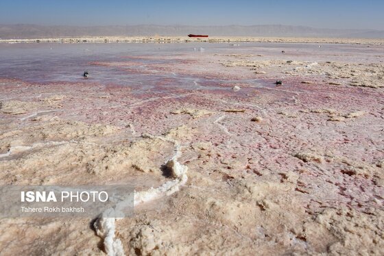 گزارش تصویری | خشک شدن دریاچه مهارلو - شیراز