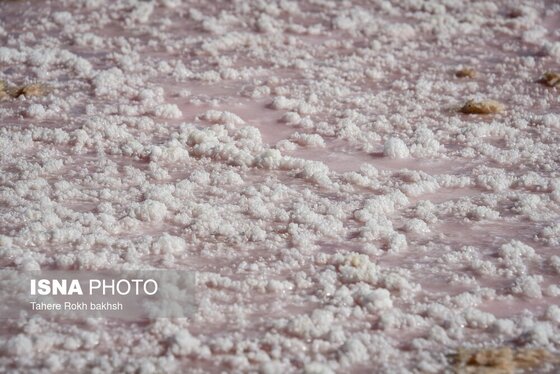 گزارش تصویری | خشک شدن دریاچه مهارلو - شیراز