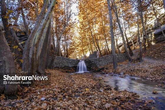 گزارش تصویری | طبیعت پاییزی شاندیز