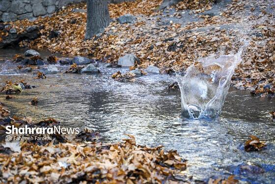 گزارش تصویری | طبیعت پاییزی شاندیز