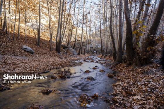 گزارش تصویری | طبیعت پاییزی شاندیز