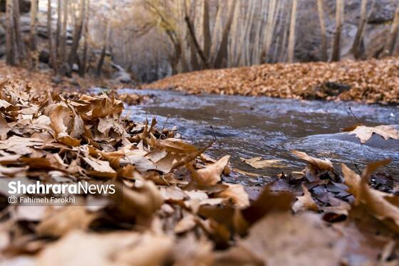 گزارش تصویری | طبیعت پاییزی شاندیز
