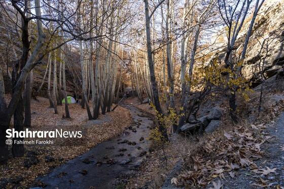 گزارش تصویری | طبیعت پاییزی شاندیز