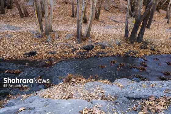 گزارش تصویری | طبیعت پاییزی شاندیز