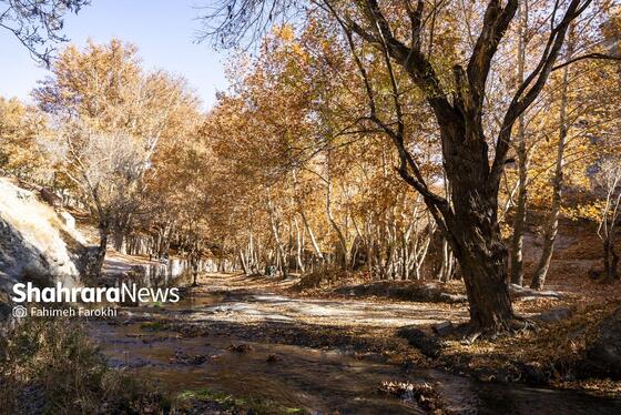 گزارش تصویری | طبیعت پاییزی شاندیز