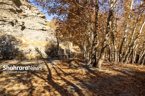 گزارش تصویری | طبیعت پاییزی شاندیز