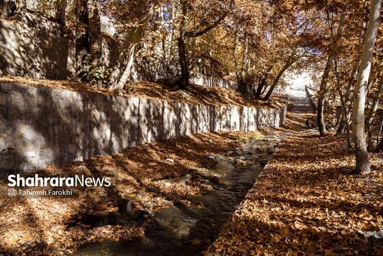 گزارش تصویری | طبیعت پاییزی شاندیز