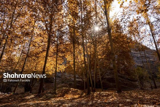 گزارش تصویری | طبیعت پاییزی شاندیز