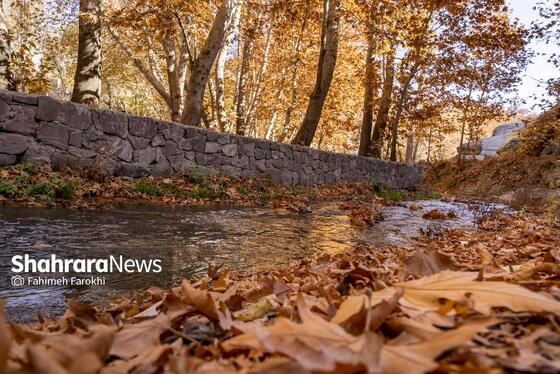 گزارش تصویری | طبیعت پاییزی شاندیز