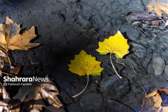 گزارش تصویری | طبیعت پاییزی شاندیز